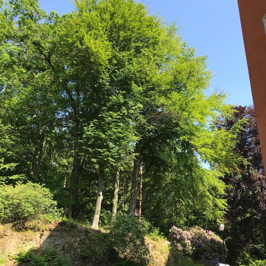 Palac Paulinum Jelenia Gora Luaran gambar